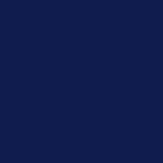 Navy Cabana Cosmetic Bag