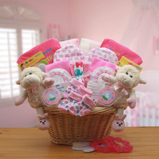 Double Delight Twins New Babies Gift Basket - Pink, Gift Baskets Drop Shipping - A Blissfully Beautiful Boutique