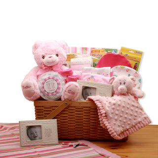 My First Teddy Bear New Baby Gift Basket - Pink, Gift Baskets Drop Shipping - A Blissfully Beautiful Boutique