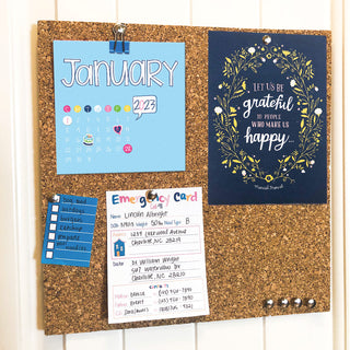 2023 Mini Monthly Desktop Calendars | Stickers Included