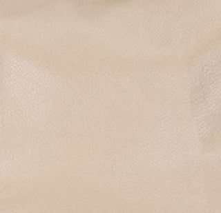 Tan Hadley Purse