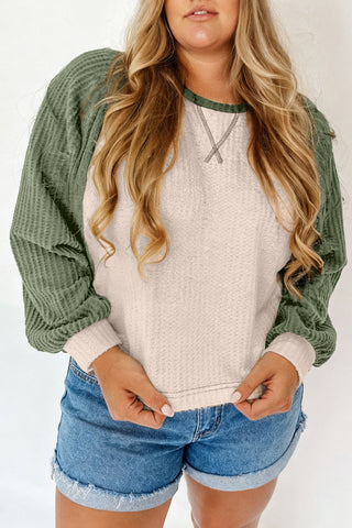 Mist Green Plus Size Waffled Color Block Long Sleeve Top, Dear-Lover Dropshipping - A Blissfully Beautiful Boutique