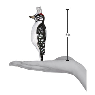 Hanging Hairy Woodpecker