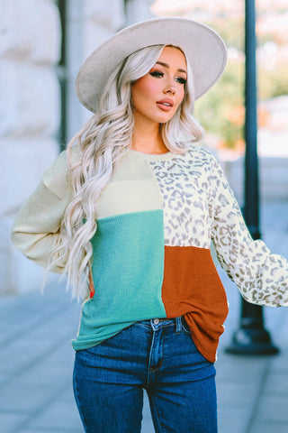 Leopard Patchwork Color Block Ribbed Long Sleeve Top