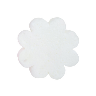 Pumpkin Spice | Multi-Use, Spongellé - A Blissfully Beautiful Boutique