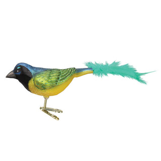 Green Jay Ornament, Old World Christmas - A Blissfully Beautiful Boutique