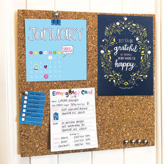 NEW! 2026-27 Reminder Binder® Planner + BONUS 2026 Mini Calendar | January 2026 - June 2027, Denise Albright® - A Blissfully Beautiful Boutique