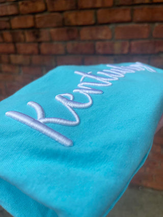 Custom Text 3D Puff Embroidered Comfort Color Short Sleeve or Gildan Sweatshirt, Merch Girls - A Blissfully Beautiful Boutique