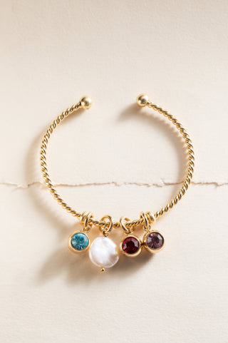 December Birthstone Interchangeable Charm