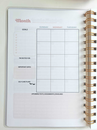 Academic Blue and Pink Gingham Wire-O A5 size Planner