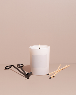 Sweetest Taboo Single-Wick Candle