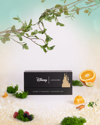 Disney Princess Pro-Pod™ Discovery Set