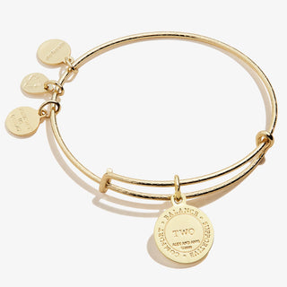 Number 2 Charm Bangle | Grace, Comfort, and Sensitive