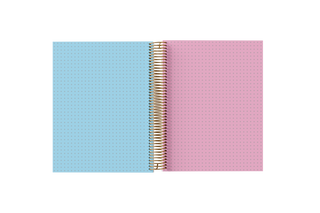 DOTTED Grid Paper Holographic Notebook by BERTEAU & Co.