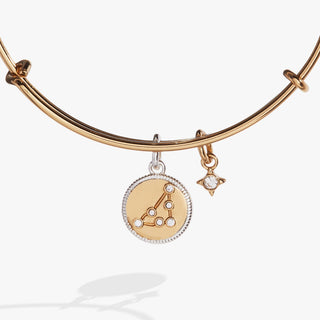 Capricorn Zodiac Charm Bangle