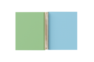DOTTED Grid Paper Holographic Notebook by BERTEAU & Co.