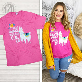 Whole Llama Learning Teacher T Shirt