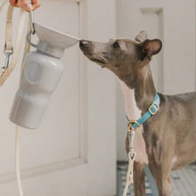 Springer - Classic Travel Bottle, A Blissfully Beautiful Boutique - A Blissfully Beautiful Boutique