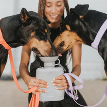 Springer - Growler Travel Bottle, A Blissfully Beautiful Boutique - A Blissfully Beautiful Boutique