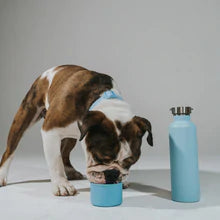 Springer - Dog & Me, A Blissfully Beautiful Boutique - A Blissfully Beautiful Boutique