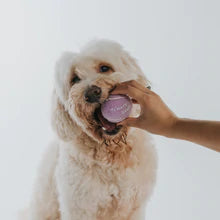Springer - Tennis Balls, A Blissfully Beautiful Boutique - A Blissfully Beautiful Boutique