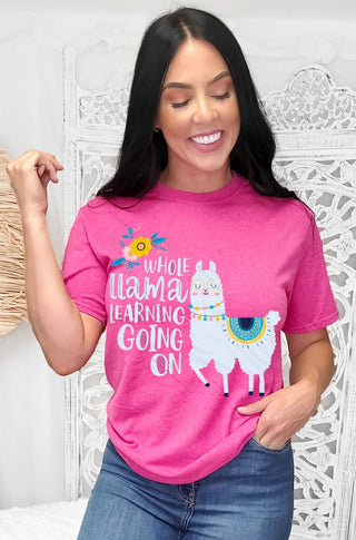 Whole Llama Learning Teacher T Shirt, Tees2urdoor - A Blissfully Beautiful Boutique