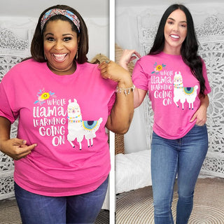 Whole Llama Learning Teacher T Shirt, Tees2urdoor - A Blissfully Beautiful Boutique