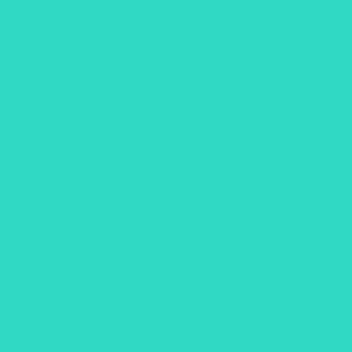 Mint Castaway Tote