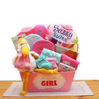 A Special Delivery  New Baby Gift Basket- Pink, Gift Baskets Drop Shipping - A Blissfully Beautiful Boutique