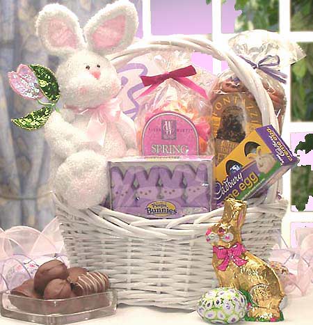 Somebunny Special  Easter Gift Basket, Gift Baskets Drop Shipping - A Blissfully Beautiful Boutique