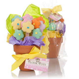 Mother's Day Flower Pot of Edible cookies, Gift Baskets Drop Shipping - A Blissfully Beautiful Boutique