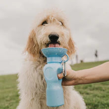 Springer - Classic Travel Bottle